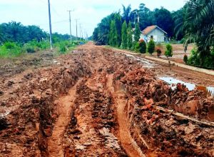 Warga Sumber Mulyo keluhkan, ruas jalan Rusak Bagai Kubangan Kerbau