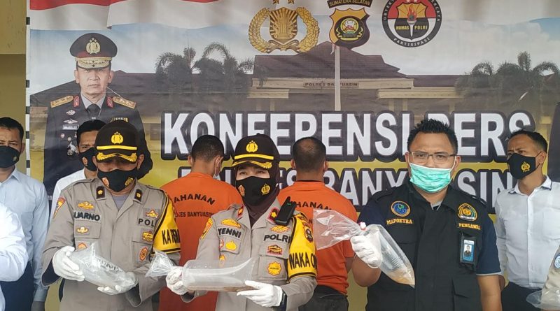 Pertama di Sumsel, Polres Banyuasin Gagalkan Penyelundupan Benih Lobster bernilai Miliaran Rupiah