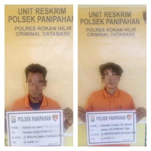 Curi TBS Di Kebun Milik Oknum Purn TNI, 2 Petani Di Ciduk Polsek Panipahan