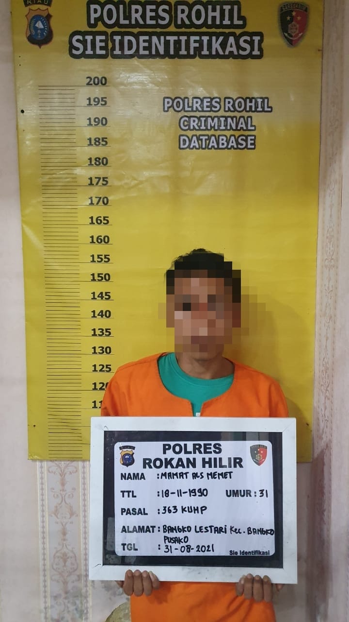 Gasak Rumah Tetangga, Pria Bangko Lestari Di Bekuk Sat Reskrim Polres Rohil