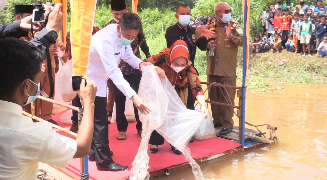 Bupati dan Wakil Bupati Tabur Ribuan Benih Anak Ikan Baung