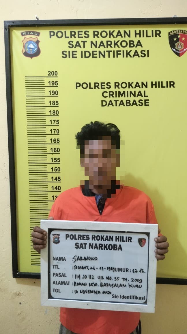 Pencuri Berondolan Sawit Bawa Sabu Di Ringkus Sat Res NarkobaPolres Rohil