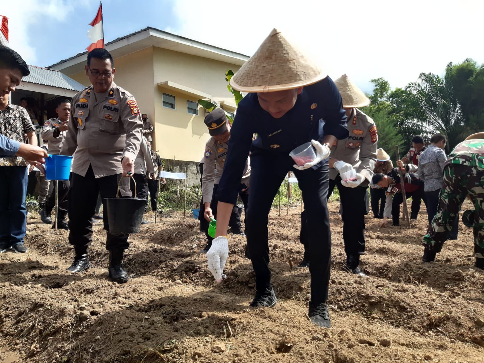 Bupati Panca Tanam Jagung di Mapolres OI, Tingkatkan Ketahanan Pangan