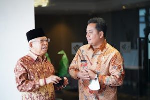 Wapres Ma’ruf Amin Akui Banyuasin Lumbung Pangan 