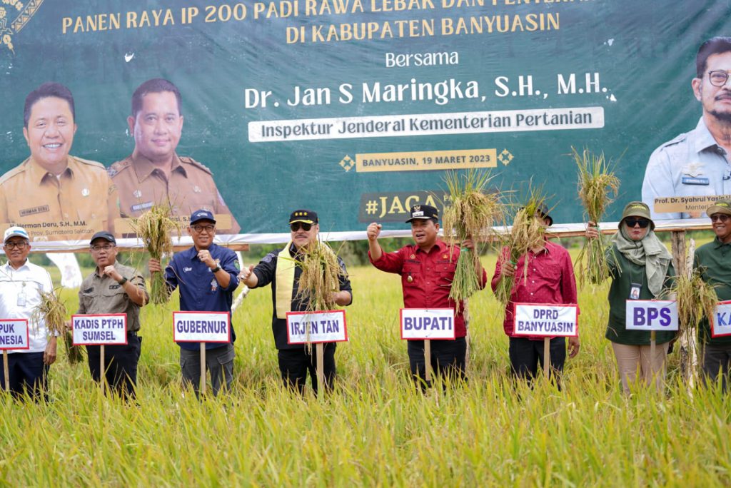 Bupati Banyuasin Panen Padi Bersama Inspektur Jenderal Kementerian Pertanian RI