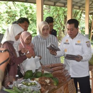 Bupati Banyuasin Askolani Mendapatkan Apresiasi Dari Mendagri Atas Keberhasila Menekan Inflasi 