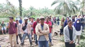 PT SWA Lakukan Tumbang Chipping Sepihak, Warga Desa Sodong Meradang