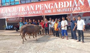 Posko Tim Pemenangan H Askolani Potong Dua Ekor Sapi