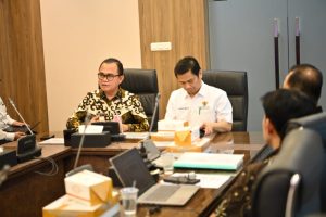 Pj. Bupati Banyuasin Mengikuti Rakor Pengembangan Daya Saing Kabupaten Banyuasin, Ini Hasilnya