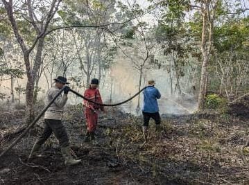 Posko Terpadu 05 Banyu Urip Tanjung Lago Melakukan Pemadaman Karhutla di Talang Kelapa