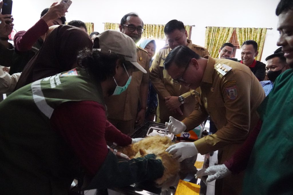 Peringati Hari Rabies Sedunia, Pemkab Banyuasin Gratiskan Vaksin Rabies