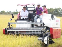 Pj. Bupati Banyuasin Panen Raya Bersama Menko Bidang Pangan RI Di Tanjung Lago