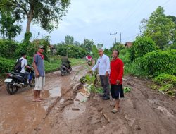 Datangi Jalan Rusak yang Ditanami Pohon Pisang, Anggota DPRD OI Hipni Minta Pemerintah Segera Perbaiki