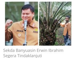 Mengaku Sebagai Pegawai PT Mars, Lahan Sawit Warga Seluas 5 Ha Dipaksa Ganti Rugi 30 Juta