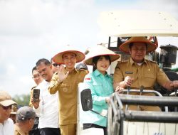 Wakili Sumsel,Petani OKI Panen Raya Serentak Bersama Presiden Secara Virtual