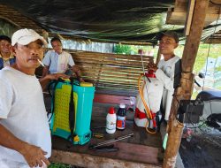 Pemdes Pedamaran 3 dan Warga Gelar Kegiatan Foging dan Gotong Royong, Untuk Mencegah Penyebaran Nyamuk Demam Berdarah