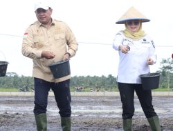 Karang Agung Ilir Jadi Pilot Project Benih IP 300 Di Banyuasin