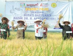 Bupati Banyuasin: Panen Padi Perdana, Desa Pulau Parang Miliki Banyak Potensi Selain Padi