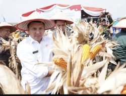 Bupati Panca Hadiri Panen Raya Jagung Kuartal II oleh Polda Sumsel dan Polres Ogan Ilir