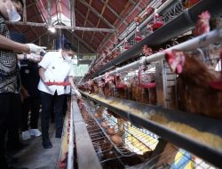 Bupati Ogan Ilir Dorong Sinergi Desa dan BUMDes untuk Perkuat Suplai Bahan Baku Nasional