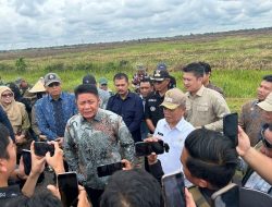 Wabup Ardani Dampingi Gubernur Sumsel Tinjau Lahan Cetak Sawah di Ogan Ilir