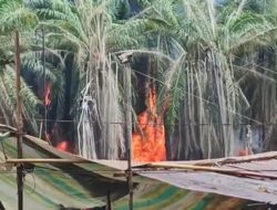 Penegakan Hukum Mandul, Usaha Ilegal di Muba Kian Menjamur