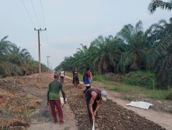 Gunakan Dana Desa, Pemerintah Desa Kuala Puntian Melakukan Penimbunan jalan Dengan Batu Agregat 