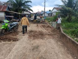 Pemerintahan Desa Kuala Puntian Rehabilitasi Jembatan dan Jalan Bahu Jalan Jembatan Gunakan Dana Desa 2025