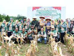 Mendukung Swasembada Pangan Pemkab dan Polres Banyusin Panen Jagung di Pesantren Qodratullah