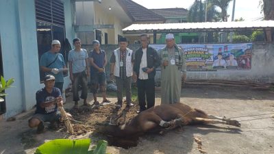 Semangat Berbagi di Hari Raya, PWI Sumsel Sembelih 4 Sapi dan 1 Kambing untuk Idul Adha 1447 H