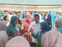 Ketua TP PKK dan Dekranasda Sumsel Tinjau Program Pemberdayaan di Banyuasin, Dorong Optimalisasi UMKM Lokal