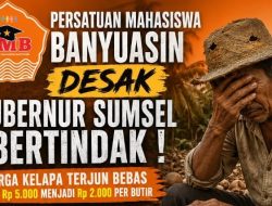 Harga Kelapa Anjlok 60 Persen, Persatuan Mahasiswa Banyuasin Desak Gubernur Sumsel Turun Tangan