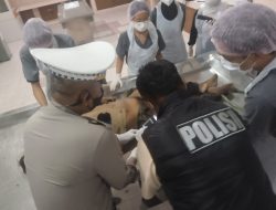 Pejalan Kaki Misterius “Mr. X” Terinjak Roda Trailer di KM 16 Lintas Timur Palembang-Jambi